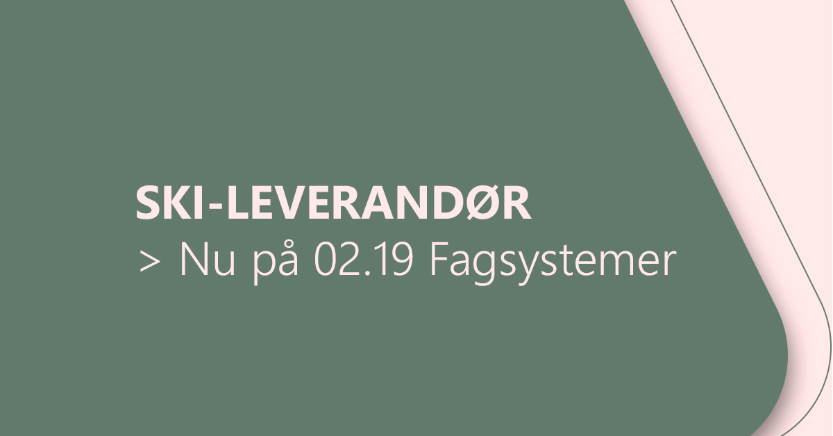 SKI-leverandør på 02.19 Fagsystemer